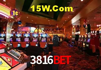 3816bet - User Statistics