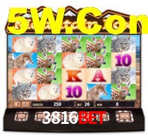 3816bet,3816bet.com